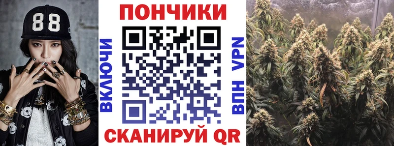 Шишки марихуана семена  Анжеро-Судженск 